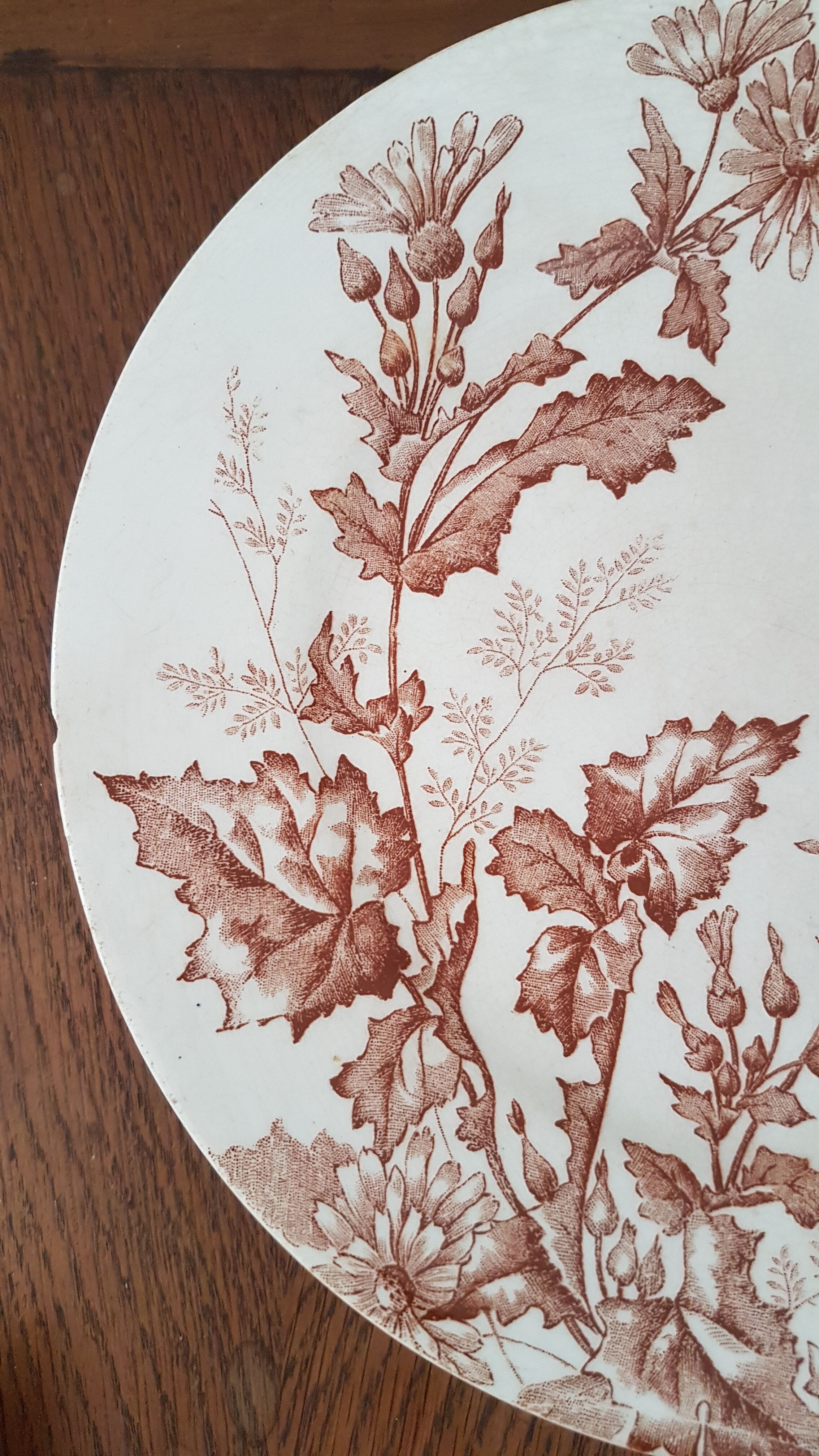 Compotier longwy Botanique