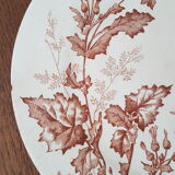 Compotier longwy Botanique