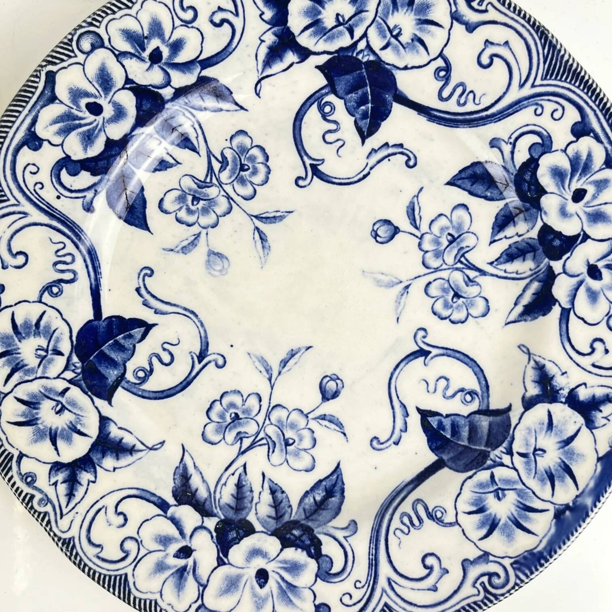 Set of 6 dessert plates in ironstone "Flora" – Creil et Montereau, 19th century, blue