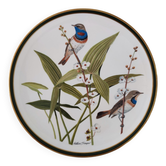 Porcelain plate, songbirds of the world, signed Arthur Singer.
