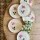 Set of 6 vintage flat plates - Magali model by Villeroy and Boch