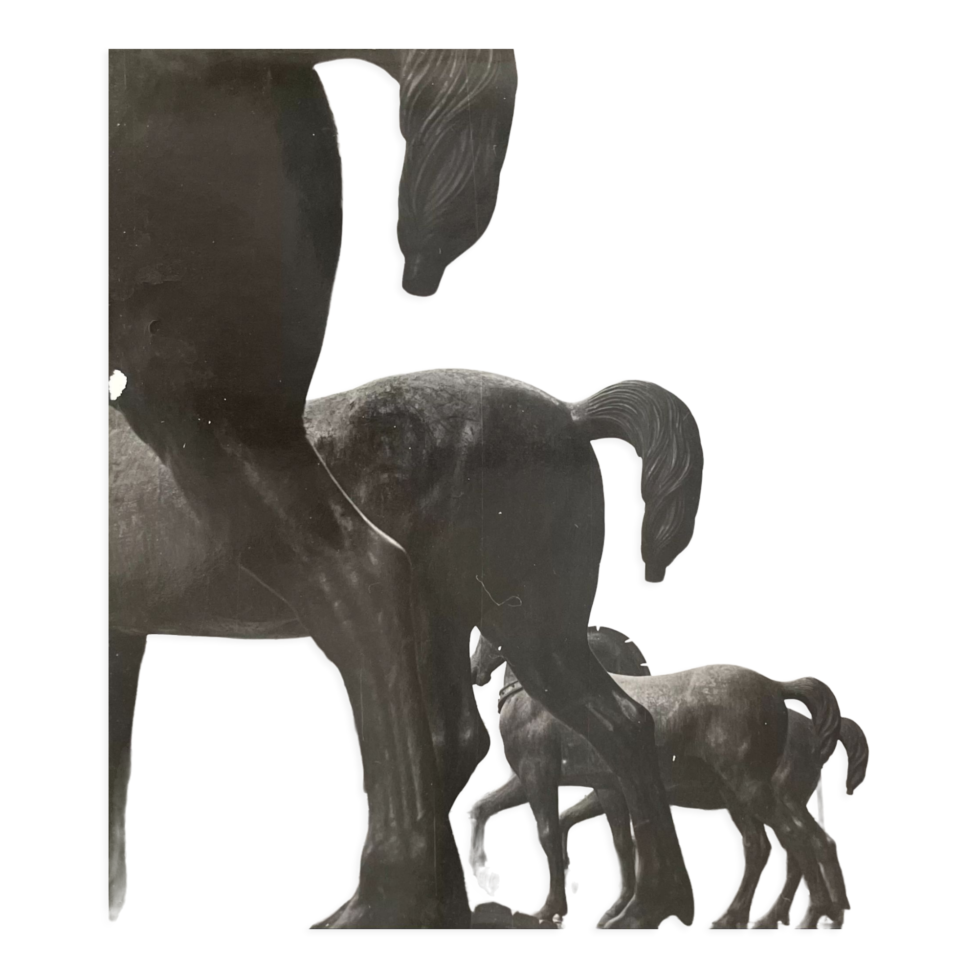 Old black and white silver photography early twentieth century