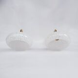 Speckled glass swan neck wall lights