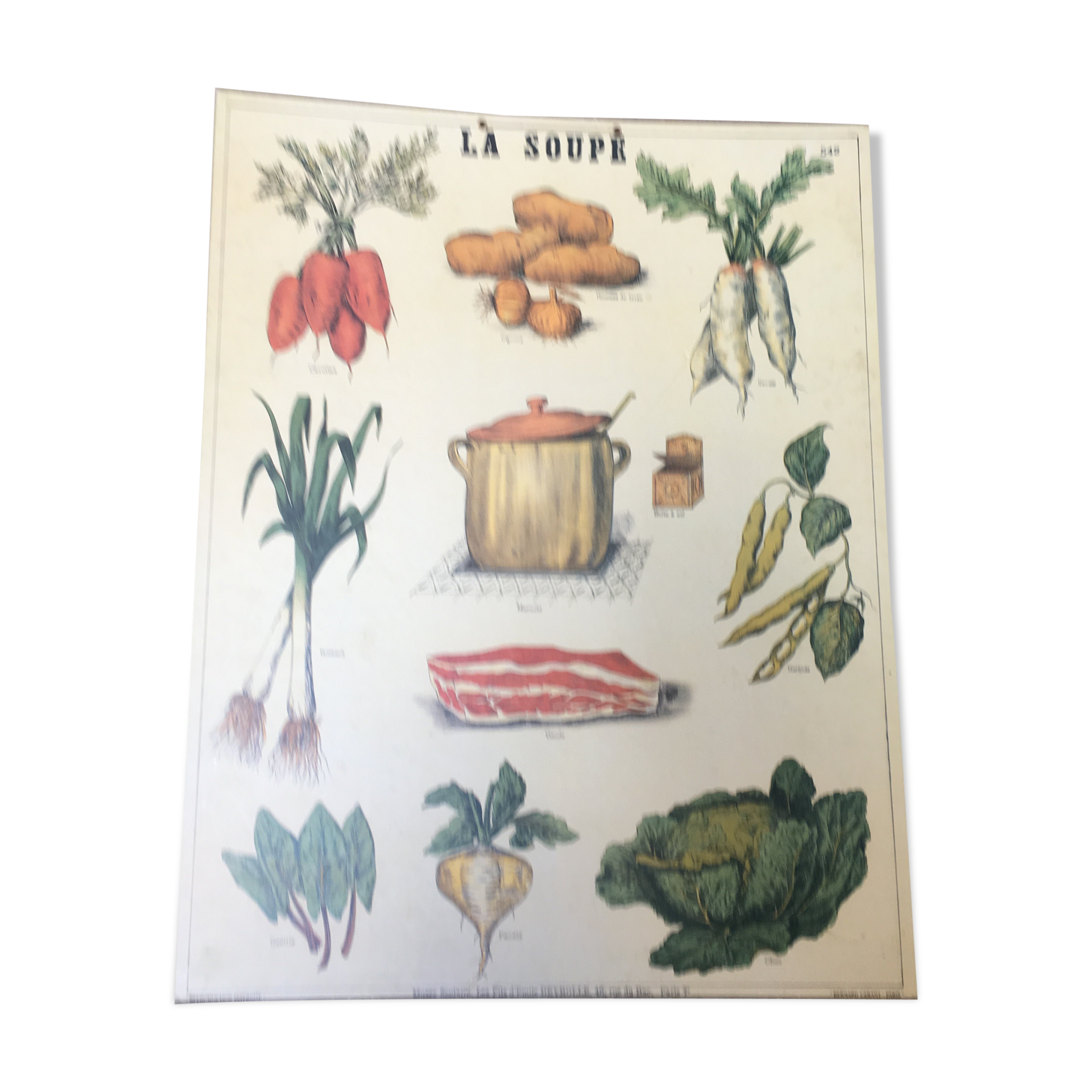 Pedagogical poster "soup" school museum of Emile Deyrolle
