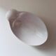 Shell and crustacean catch-all tray