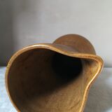 Pitcher has water in sandstone years 50/60
