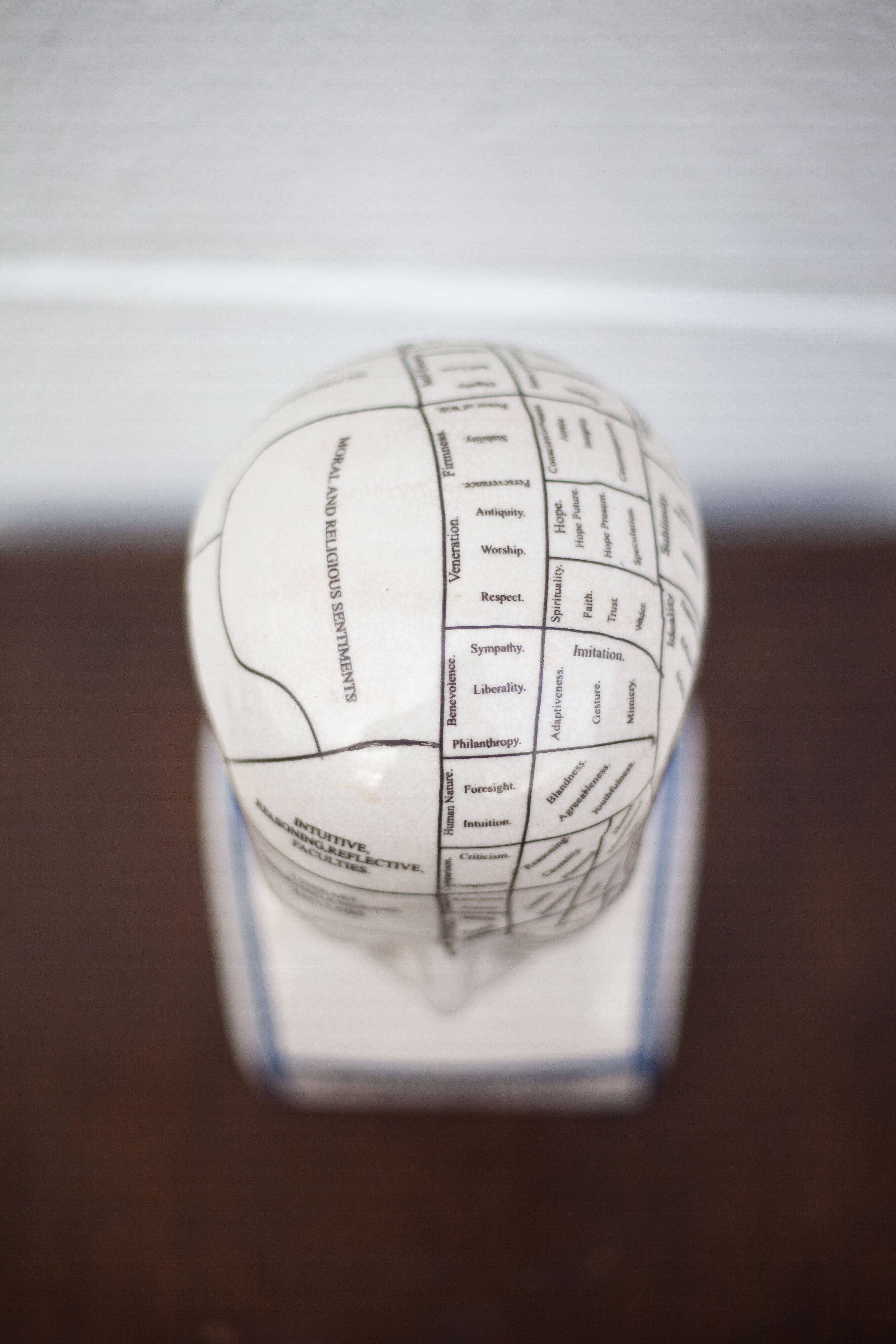 Porcelain bust, Fowler phrenology head, cabinet of curiosities, collection