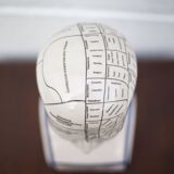 Porcelain bust, Fowler phrenology head, cabinet of curiosities, collection