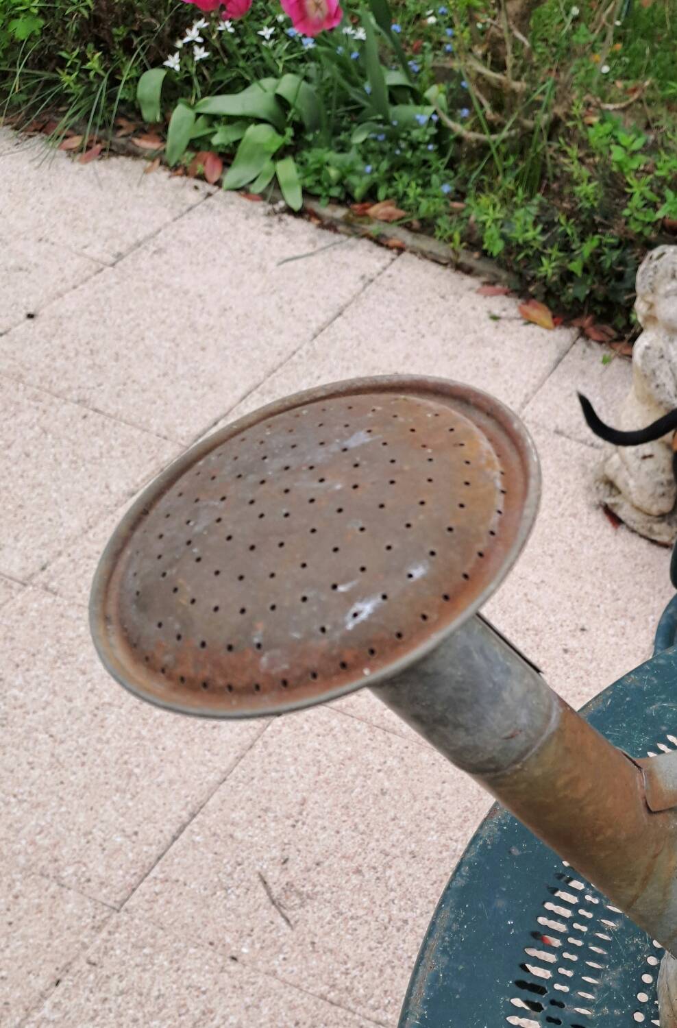 Old zinc watering can