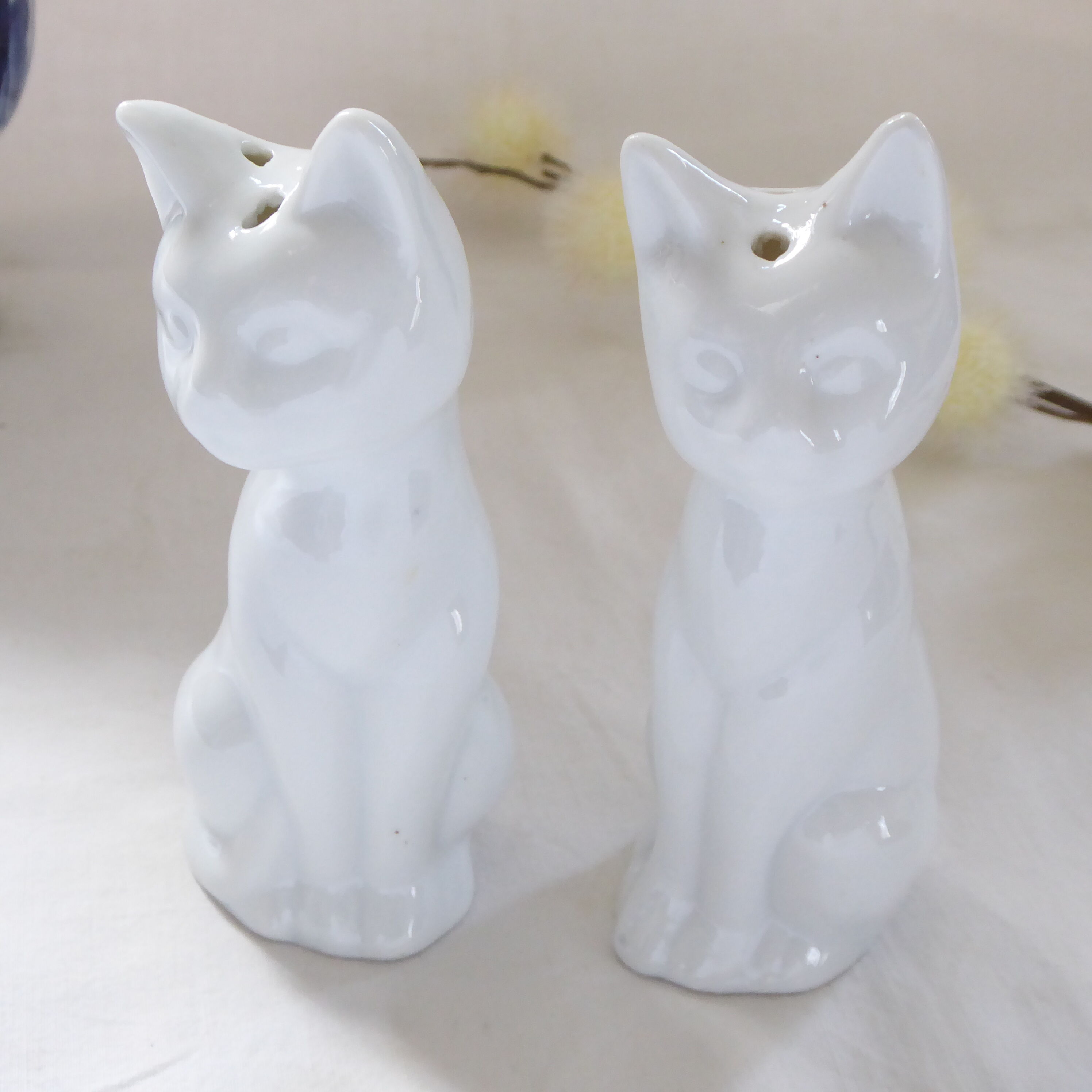 Salt and pepper shaker