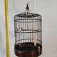 Cage Asia