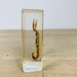 Scorpion insect inclusion resin
