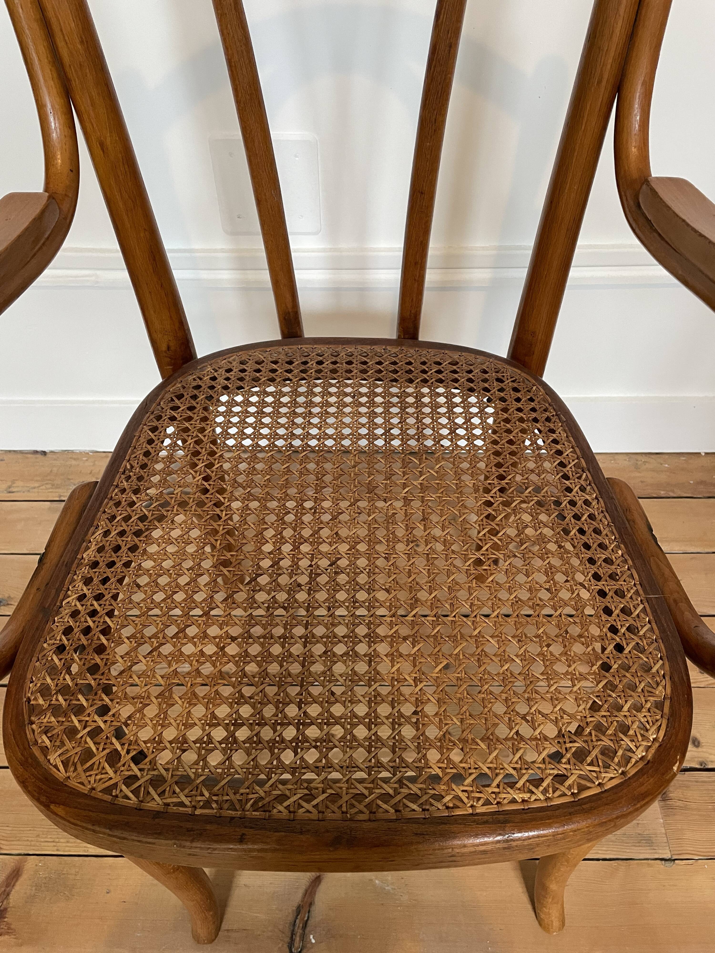 Old thonet armchair in curved wood and rattan cane