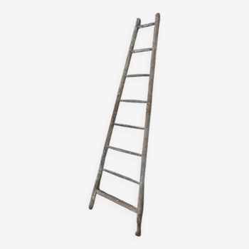 Painter's ladder, towel rack