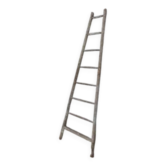 Painter's ladder, towel rack