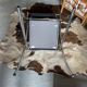 Lot de quatre chaises bleues aux courbes design