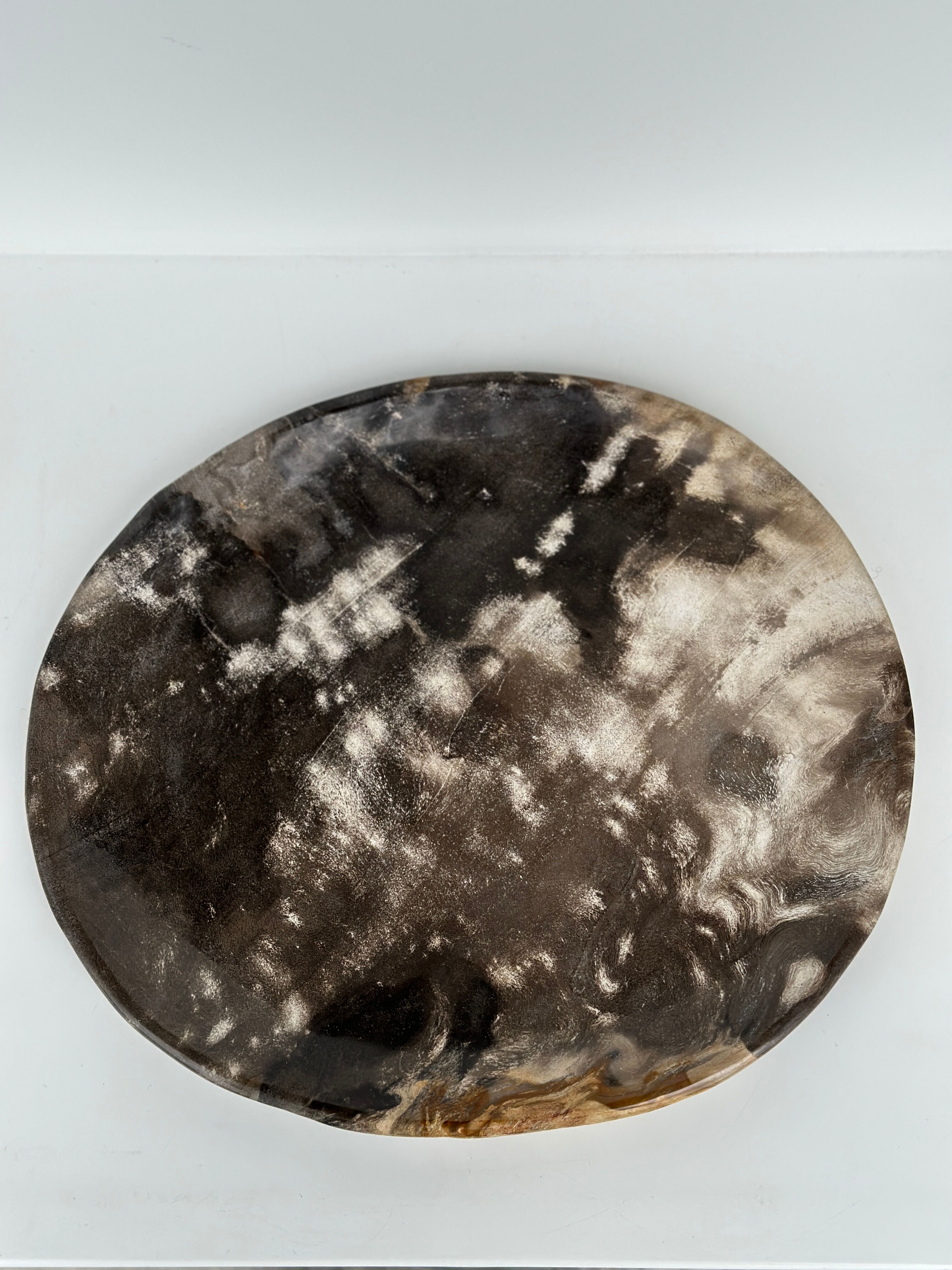 Dish in petrified wood