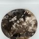 Dish in petrified wood