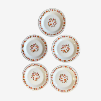 Set of 5 vintage pattern plates