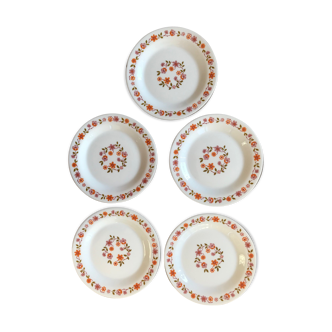 Set of 5 vintage pattern plates