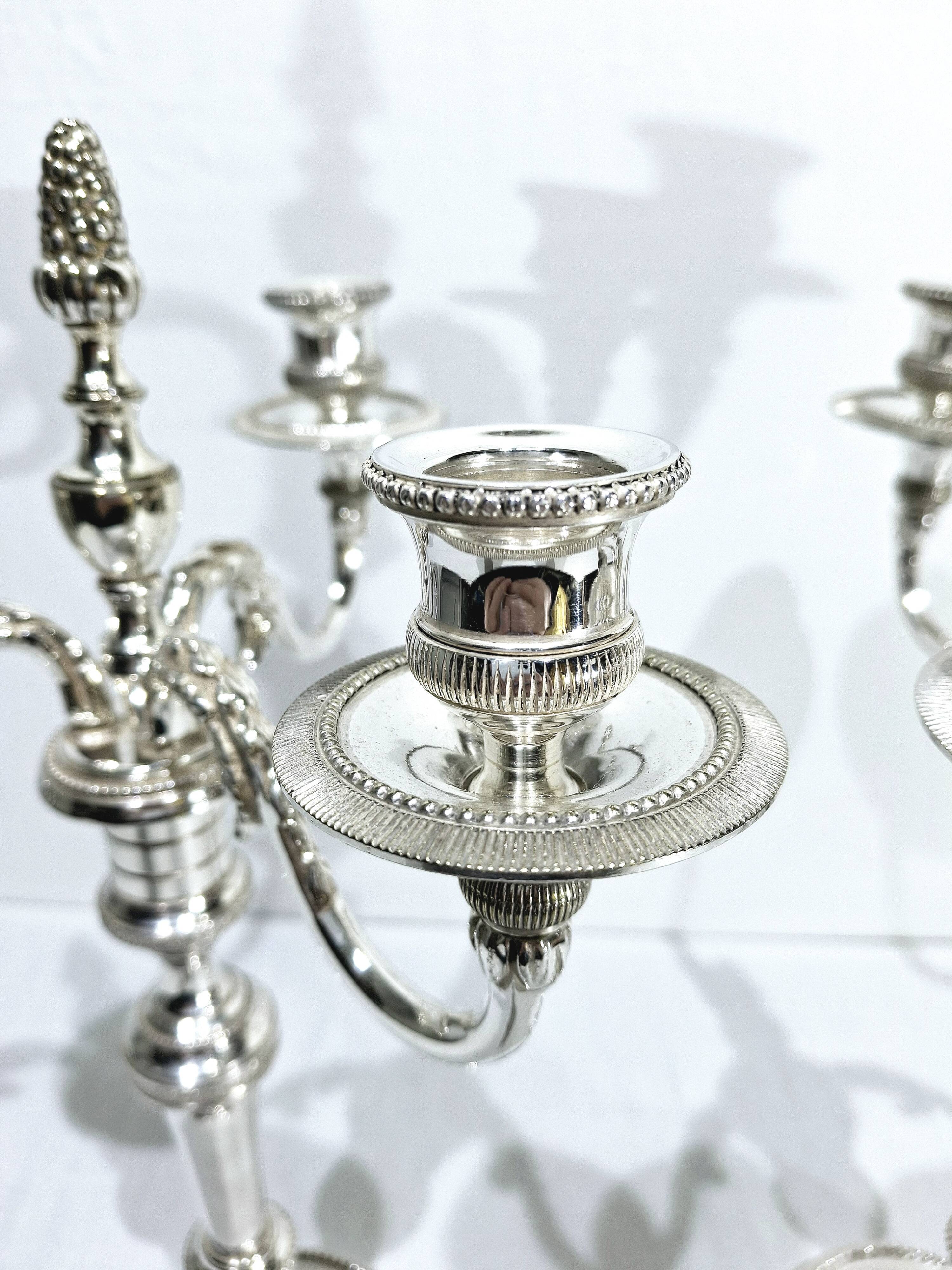 Chrysalia - pair of silvered bronze candelabra / €580