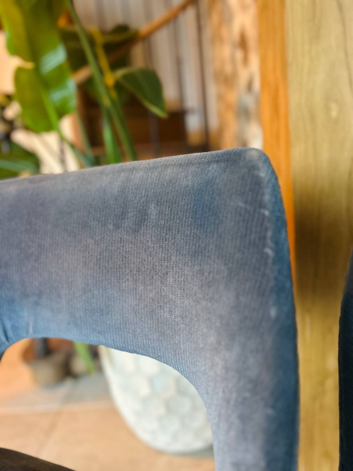 Chaises conférence velours bleu