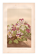 Botanical engraving from 1889 - Violet - Antique natural floral plate