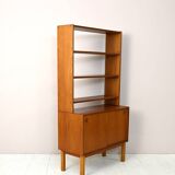 Scandinavian bookcase with cabinet