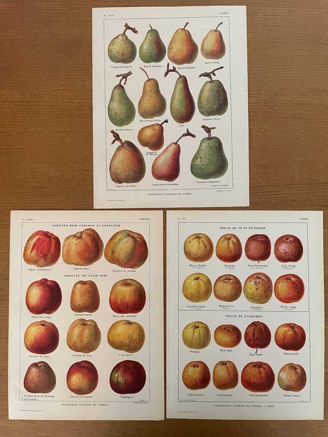 Reserved Laurence - Set of 3 lithos on apples and pears 20th century