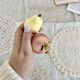 Vintage ceramic salt and pepper shaker and fruit slip
