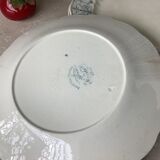 Ridgways 19th century English ironstone plates