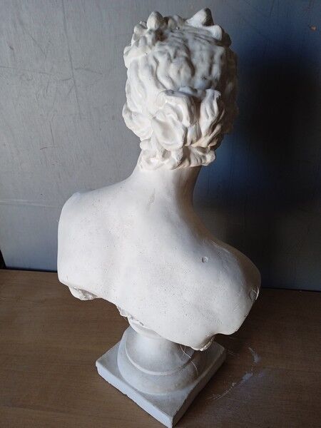 Large flat bust of Venus