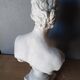 Large flat bust of Venus