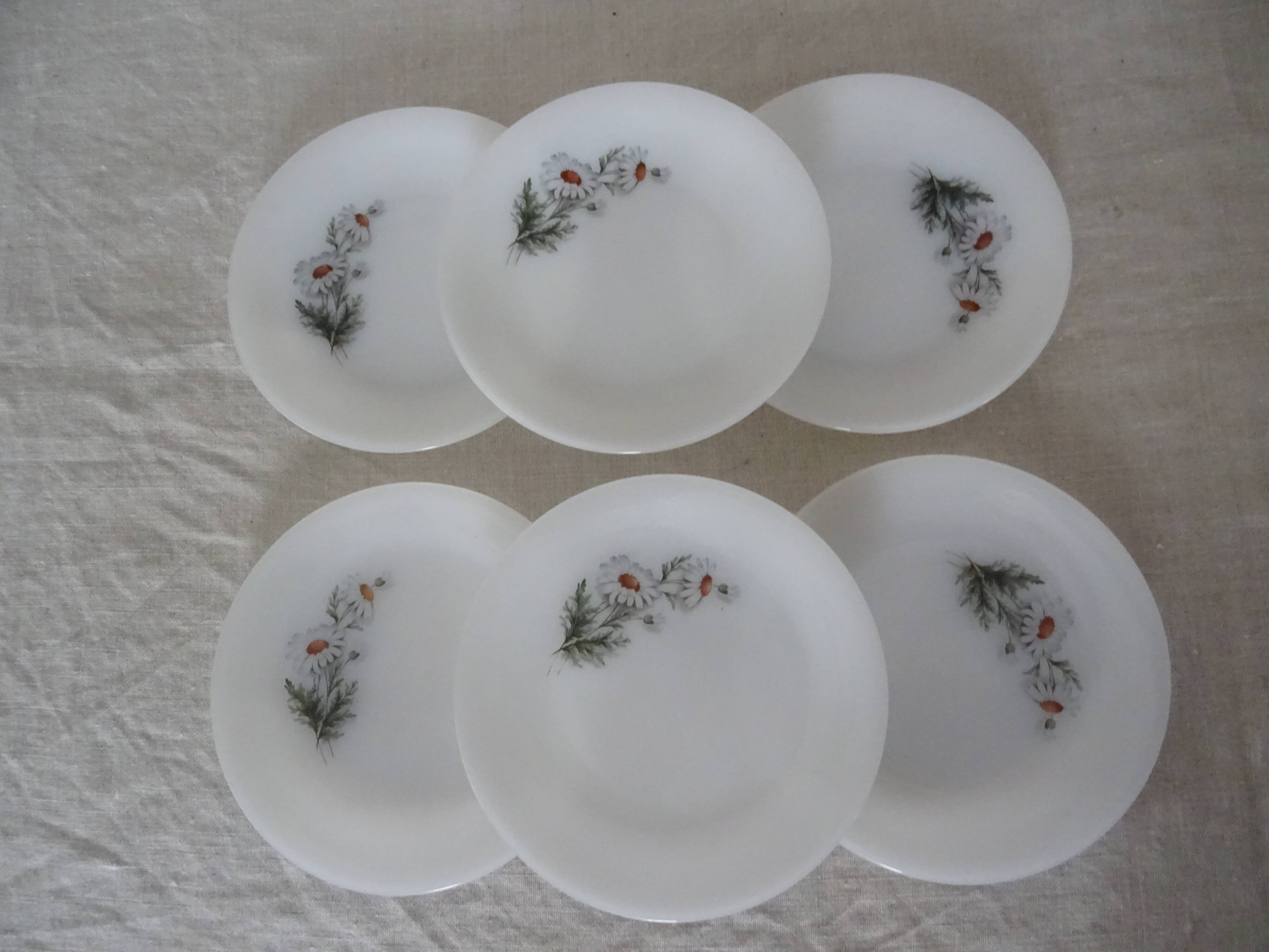6 plates daisies flowers dessert arcopal 15992