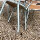 Lot de 6 chaises Tolix bleu ciel