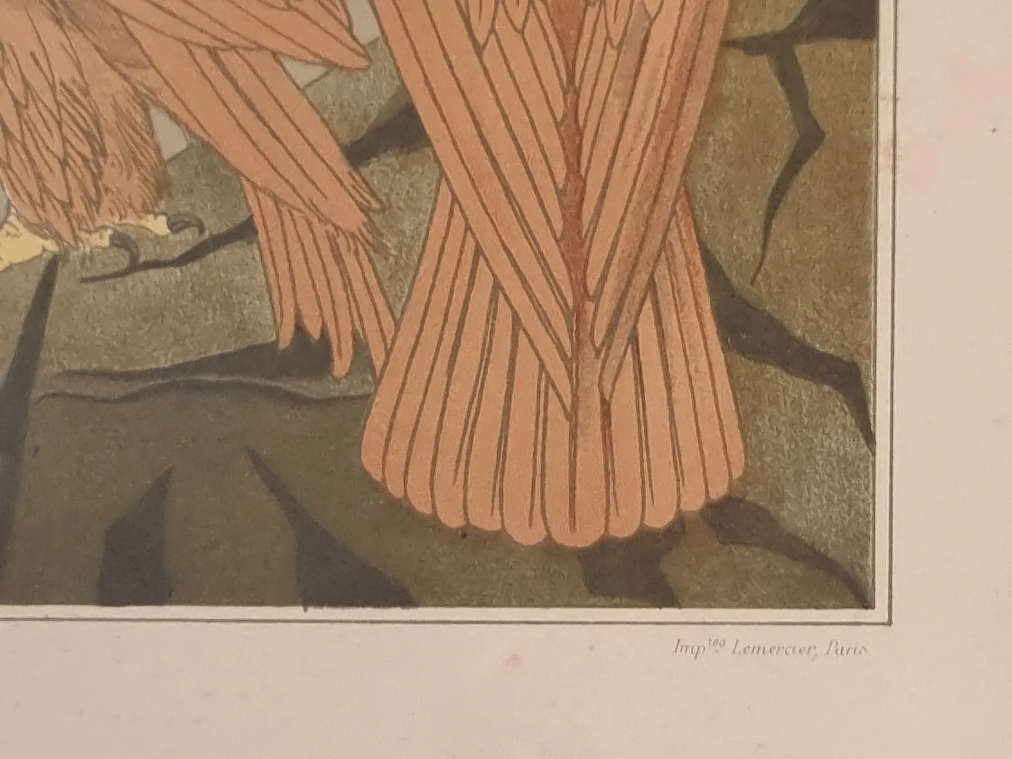 Art nouveau lithograph 'Aigles' – eagles, M.P. Verneuil, 1897