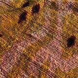 Moroccan Boujad rug in wool, Morocco, 1990