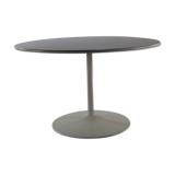 Seventies tulip table