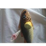 Vaisselle complète poisson cacahuète