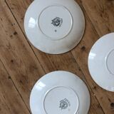 Set of 10 dessert plates in earthenware