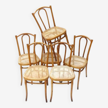 Suite 6 thonet chairs