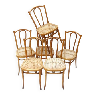 Suite 6 chaises thonet