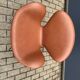 Fritz hansen swan chair cognac leather, new condition!!