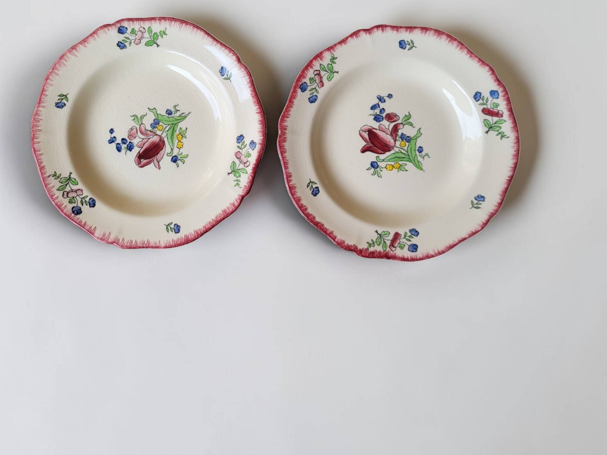 6 deep plates in Gien earthenware, Lorraine model