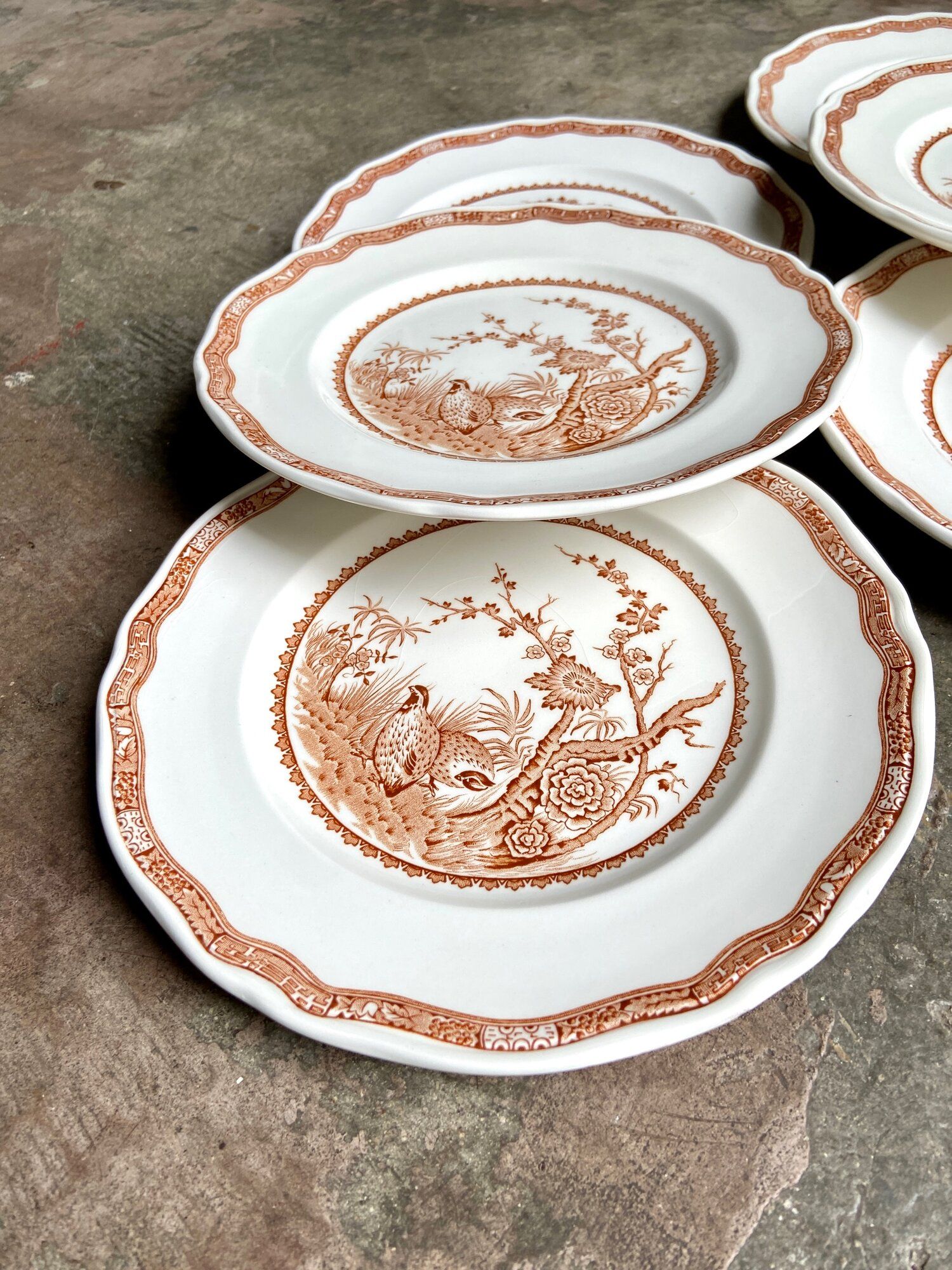 6 flat plates in ochre English ironland, service "Furnivals Quail"