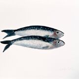 “2 sardines” by Joseph Rethlin
