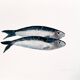 "2 sardines" par Joseph Rethlin