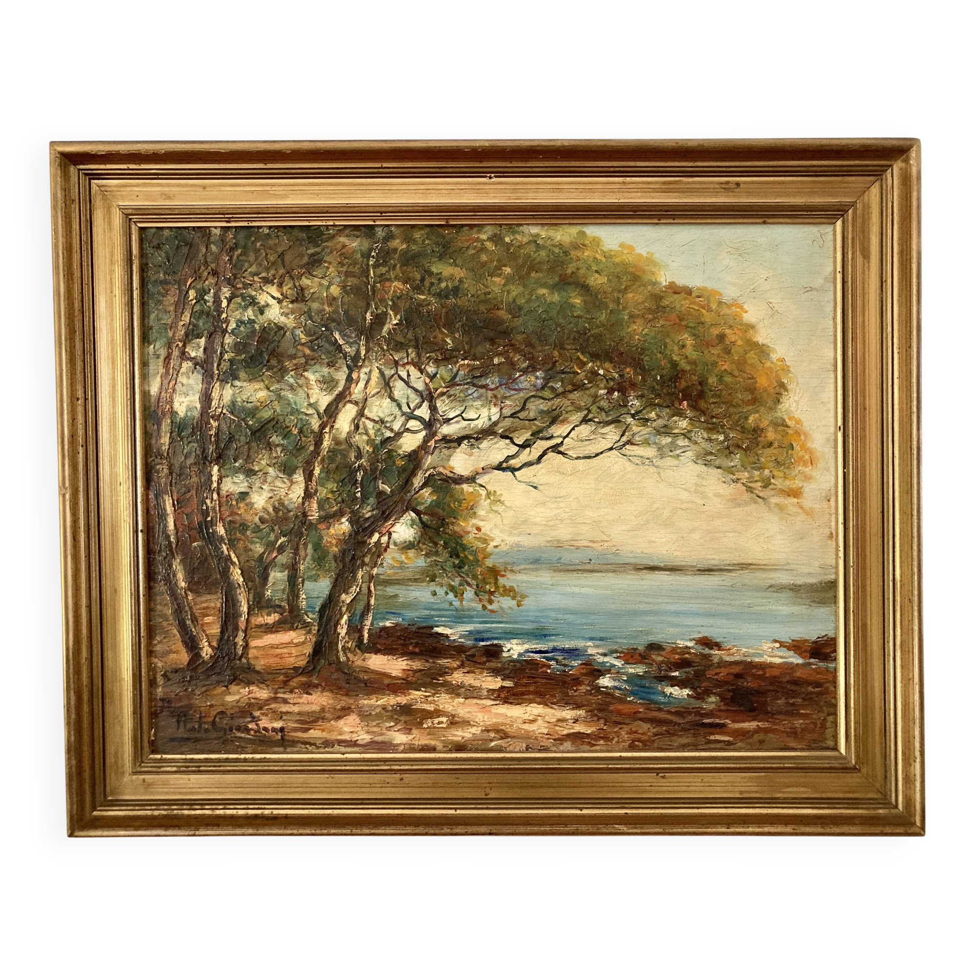 Ancient table - The Mediterranean, the umbrella pines