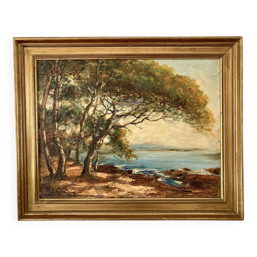 Ancient table - The Mediterranean, the umbrella pines