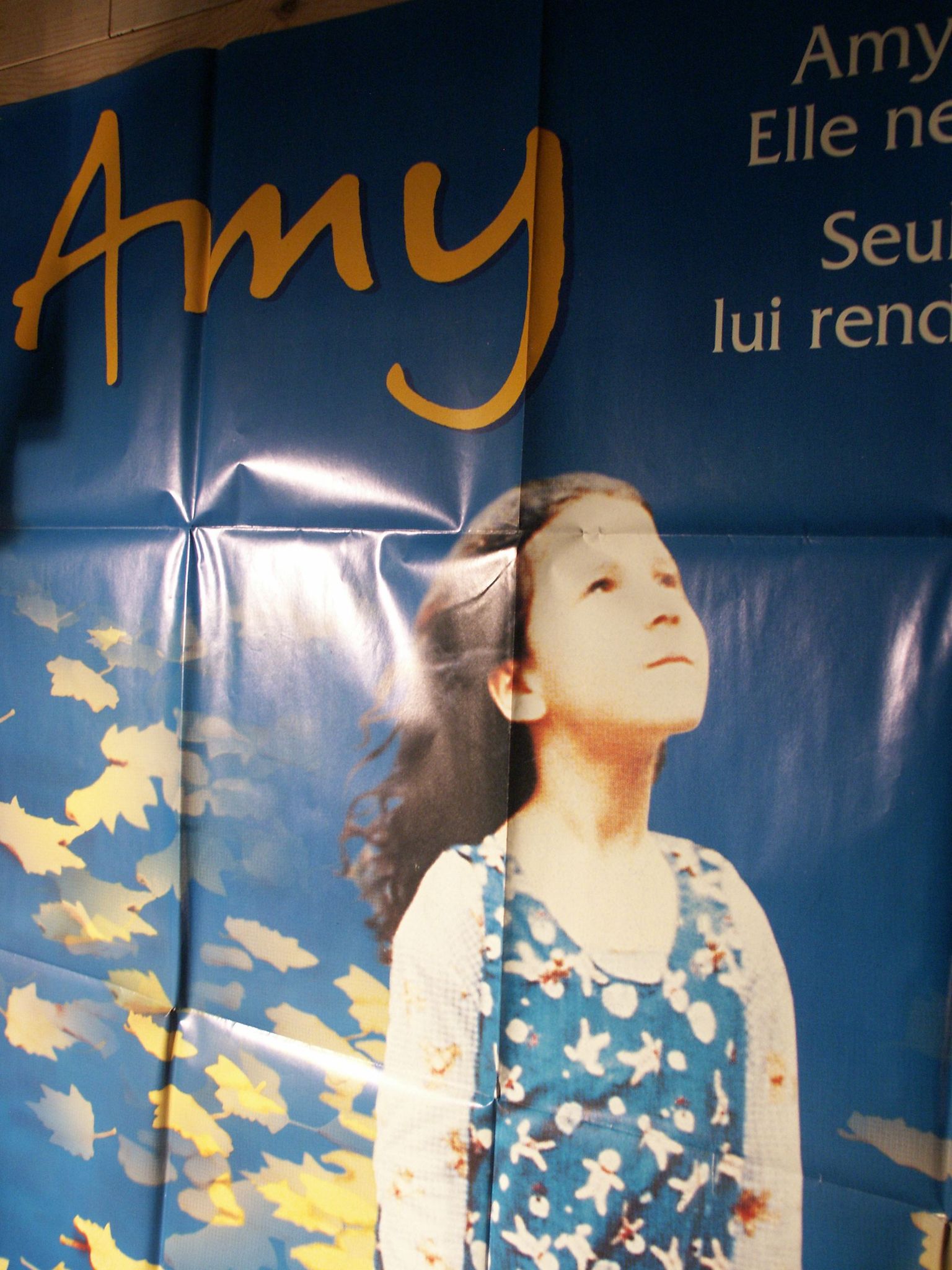Amy 160 x 120 original folded poster